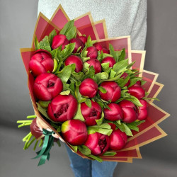 25 бордовых пионов